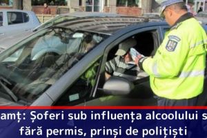Neamţ: Șoferi sub influenţa alcoolului sau fără permis, prinşi de poliţişti