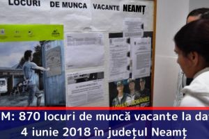 AJOFM: 870 locuri de muncă vacante la data de 4 iunie 2018 în judeţul Neamţ