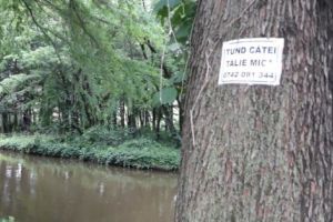 Măsuri stricte pentru paza Parcului Ştrand