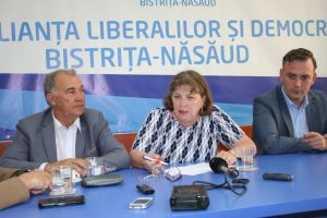 PSD organizează miting pentru apărarea democraţiei. Norica Nicolai (ALDE): Prea mult pierdem vremea pe stradă