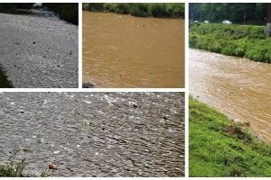 FOTO ȘTIREA TA: Râul Arieş, „inundat” de PET-uri după ploile din ultimele zile. „Oamenii trebuie educaţi şi conştientizaţi că fac un râu imens naturii şi lor înşişi”