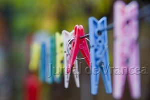 A furat rufele ude de pe sârmă!