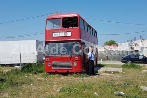 Hotarare definitiva in dosarul crimei de la Vama Veche! 