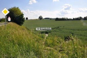 Foto: SFÂRȘIT TRAGIC pentru un tânăr de 36 de ani din CUGIR. A murit în Germania, într-un groaznic ACCIDENT de MOTOCICLETĂ