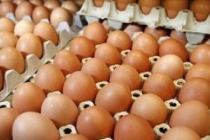 Romania a importat produse lactate si oua de 84,8 milioane de euro, in primele doua luni