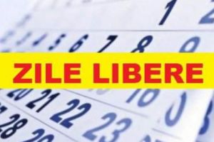 Parlamentarii vor mai multe zile libere