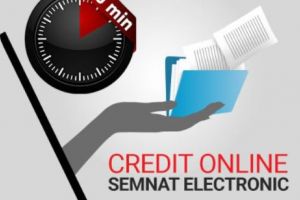 Mozipo IFN a acordat peste 1.500 de credite online într-o singură luni 