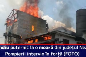 Incendiu puternic la o moară din judeţul Neamţ. Pompierii intervin în forţă (FOTO)