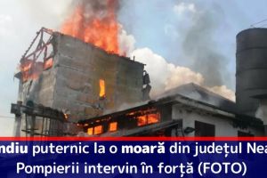 Incendiu puternic la o moară din judeţul Neamţ. Pompierii intervin în forţă (FOTO/VIDEO)