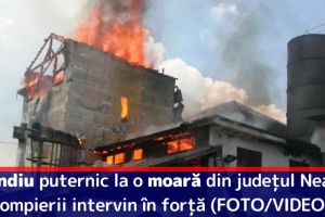 Incendiu puternic la o moară din judeţul Neamţ. Pompierii intervin în forţă (FOTO/VIDEO)