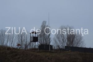 Ce societate presteaza servicii de curierat pentru UM 02133 Constanta (document)