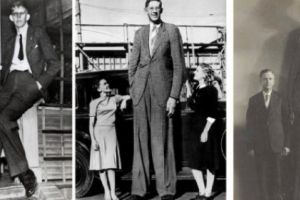 Robert Wadlow – cel mai înalt om care a trăit vreodată. Ce statură avea uriaşul?