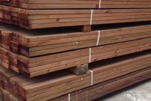 Pin negru fără documente, confiscat de poliţişti