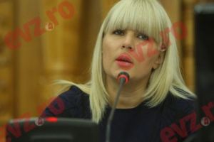 Ce a făcut Elena Udrea cu PUȚIN TIMP înainte de condamnare