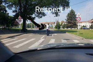 Răţuşte norocoase: Un poliţist rutier a oprit traficul în Oradea pentru a le permite unor răţuşte să traverseze (FOTO)