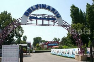 Angajatii Complexului Muzeal de Știinte ale Naturii Constanta intra in greva japoneza. De ce a fost luata aceasta decizie