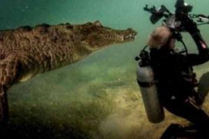 Legile lui Murphy, în IMAGINI! Instantaneele INEGALABILE. Dramă şi COMEDIE la un loc - Galerie FOTO