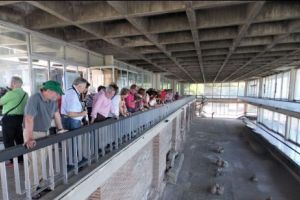 EDIFICIUL ROMAN CU MOZAIC, din Constanţa, RESTAURAT cu bani de la UE

