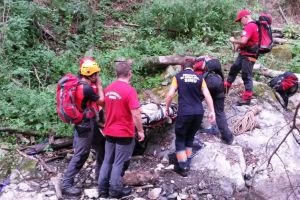 ALERTĂ – Bărbat rănit de un copac la Păltiniş în timp ce tăia lemne