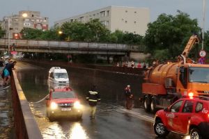 Bilanţul furtunii de la Satu Mare: Copaci căzuţi peste 4 maşini