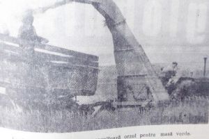 Răsfoind presa de altădată (55): Patimi de cinefil