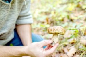 Unde duce lipsa de supraveghere din partea părinţilor: Intoxicaţi cu ciuperci