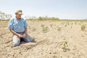 Alarmă în agricultură: Seceta loveşte şi în acest an