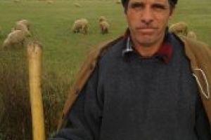 În luptă cu vitregiile naturii – Neluţu Rusu din Voineştii Covasnei