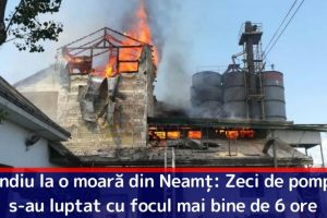 Incendiu la o moară din Neamţ: Zeci de pompieri s-au luptat cu focul mai bine de 6 ore. Vezi cauza