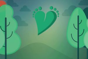 „Desculţ în iarbă… prin Cetate” vă invită la destindere!