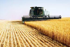 COMISIA SCHIMBĂ REGULILE ÎN AGRICULTURĂ