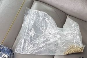 Cum vor putea românii să-şi recupereze garanţia plătită pentru ambalajele reutilizabile. Legea în speţă, aproape gata