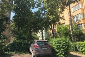 PSD anunţă că va vota pentru reabilitarea a 238 de parcări, din cele 342 propuse de ...