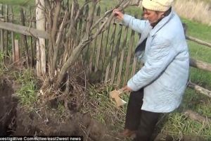 Un bărbat a găsit un craniu uman în grădina sa. Explicaţia soţiei l-a şocat