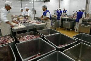 SOCANT! Genocidul servit zilnic la farfurie românilor. Câtă carne conţine un kilogram de carne