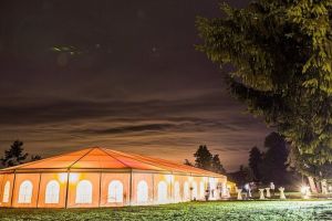 Mega party cu DJ de top într-o locaţie superbă – ”HYDEN’’ la Palatul Brukenthal Avrig