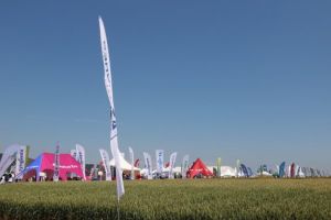 Ediţie specială Zi de Zi, despre „Ziua Grâului”!