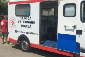 Gratuit: Baimarenii, asteptati cu cainii la sterilizat