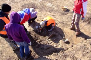 Investigaţii la cimitirele din Pecica! Ce caută specialiştii