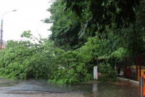 Furtuna face ravagii în Timiş