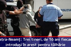 Piatra-Neamţ: Trei tineri, de 16 ani fiecare, introduşi în arest pentru tâlhărie