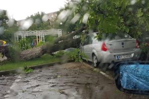 FURTUNA a făcut PRĂPĂD în oraş! Arbori căzuţi, inundaţii şi maşini avariate