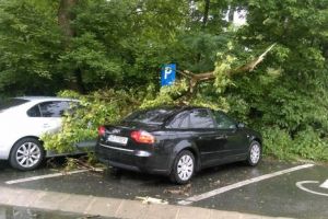 FOTO – Maşini distruse de copaci pe strada Izvorului. Zeci de sesizări de inundaţii în oraş