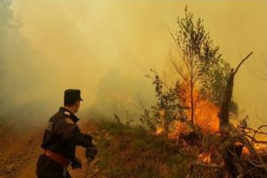 INCENDIU DEVASTATOR! Pompierii acţionează DE URGENȚĂ. O persoană a fost RĂNITĂ. Case ÎN PERICOL