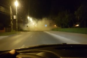 Licitatia pentru dezinsectie a fost contestata! Se stropeste in continuare impotriva musculitelor