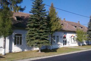 Un tânăr din comuna Voşlăbeni şi-a bătut tatăl în vârstă de 52 de ani. Victima a avut nevoie de îngrijiri medicale