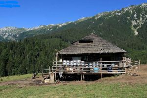 Un bărbat din Atid a mers la stână ca să fure