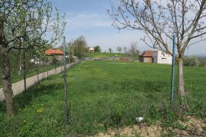 SULIGHETE sau când încerci să judeci oamenii după cum te salută