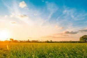 VREMEA în WEEKEND. Ce au anunţat experţii ANM despre acest final de SĂPTĂMÂNĂ