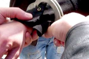 Reţinut pentru furt din auto